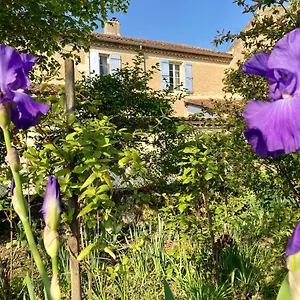 le-petit-cochon.midi-pyreneeshotels.com/